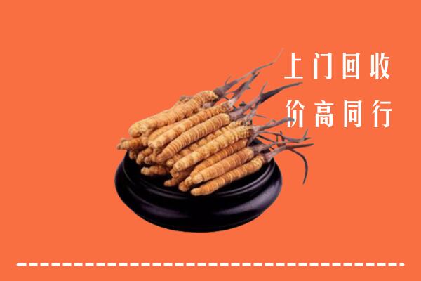 高价求购：宁城县回收散虫草