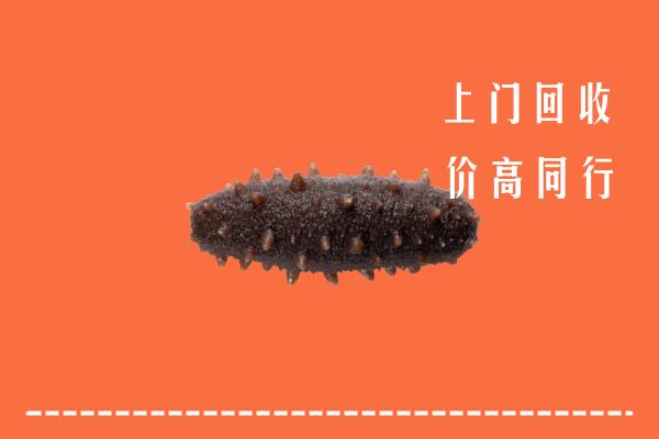 高价求购：宁城县回收海参